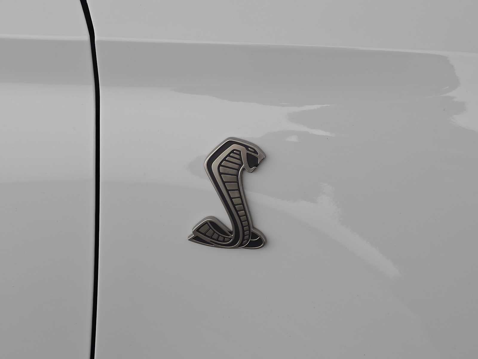 2022 Ford Mustang Shelby GT500