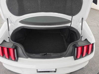 2022 Ford Mustang Shelby GT500