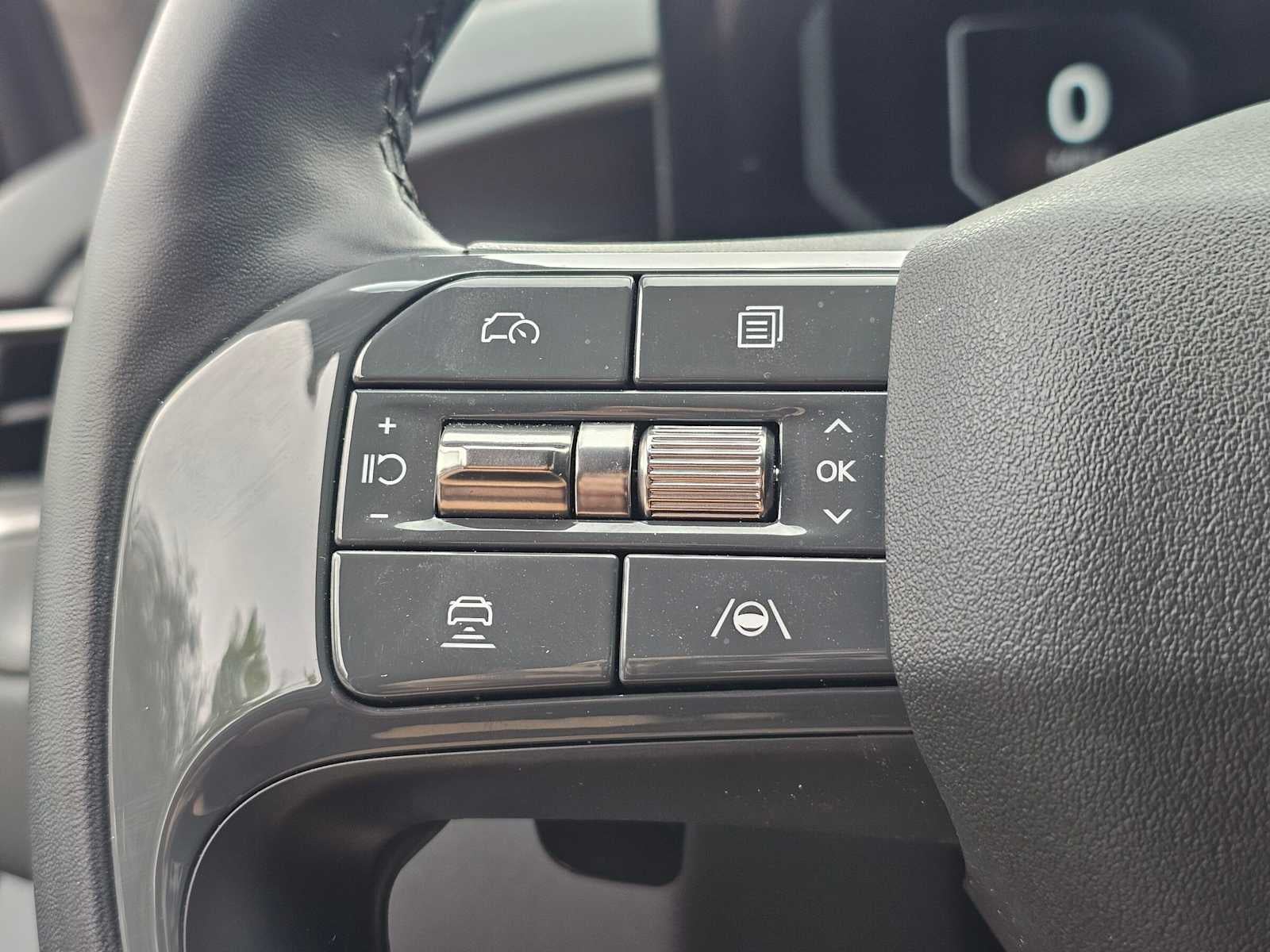 2024 Kia EV9 Light Long Range