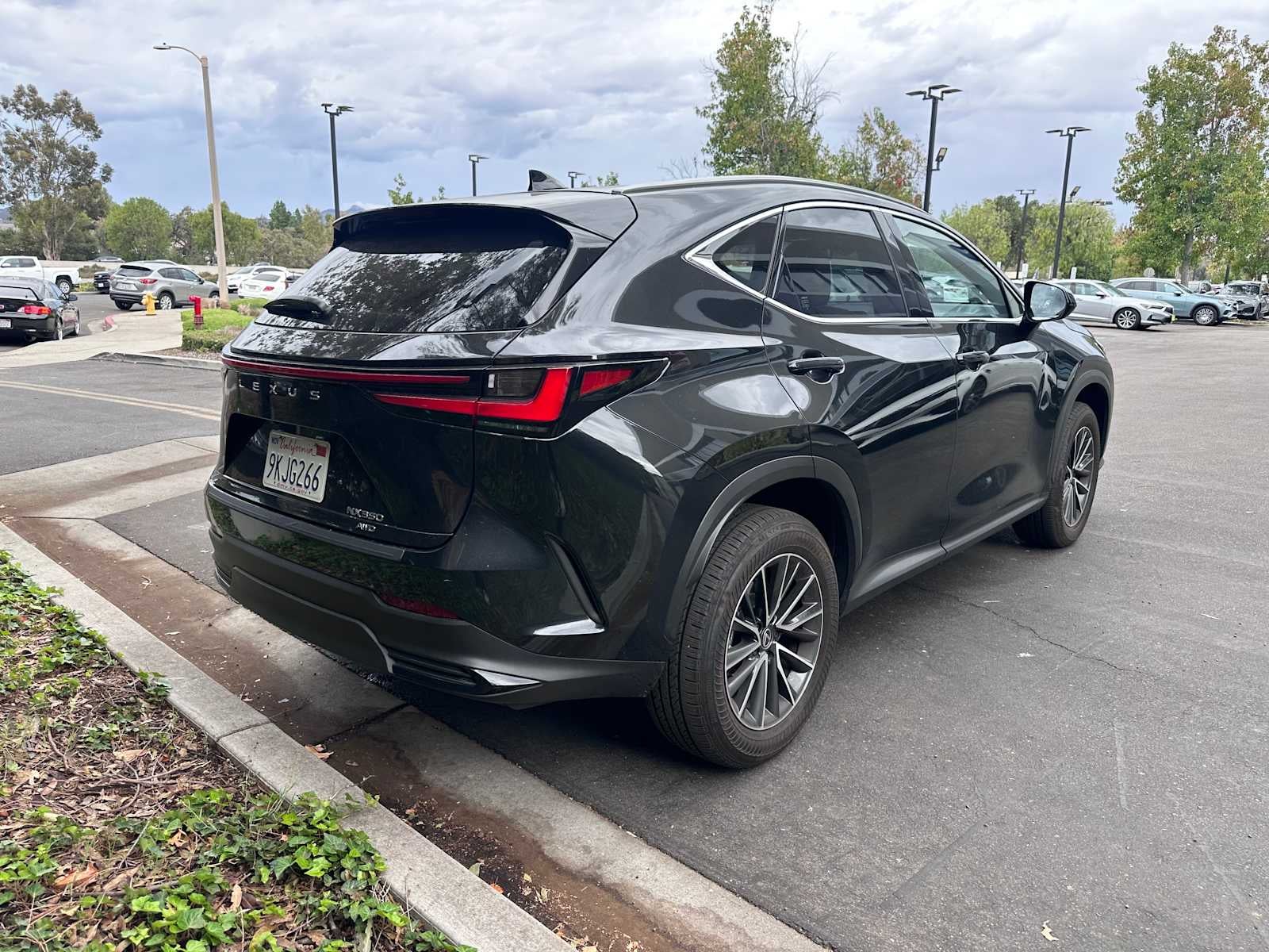 2024 Lexus NX 350 NX 350