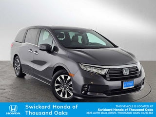 2024 Honda Odyssey EX-L