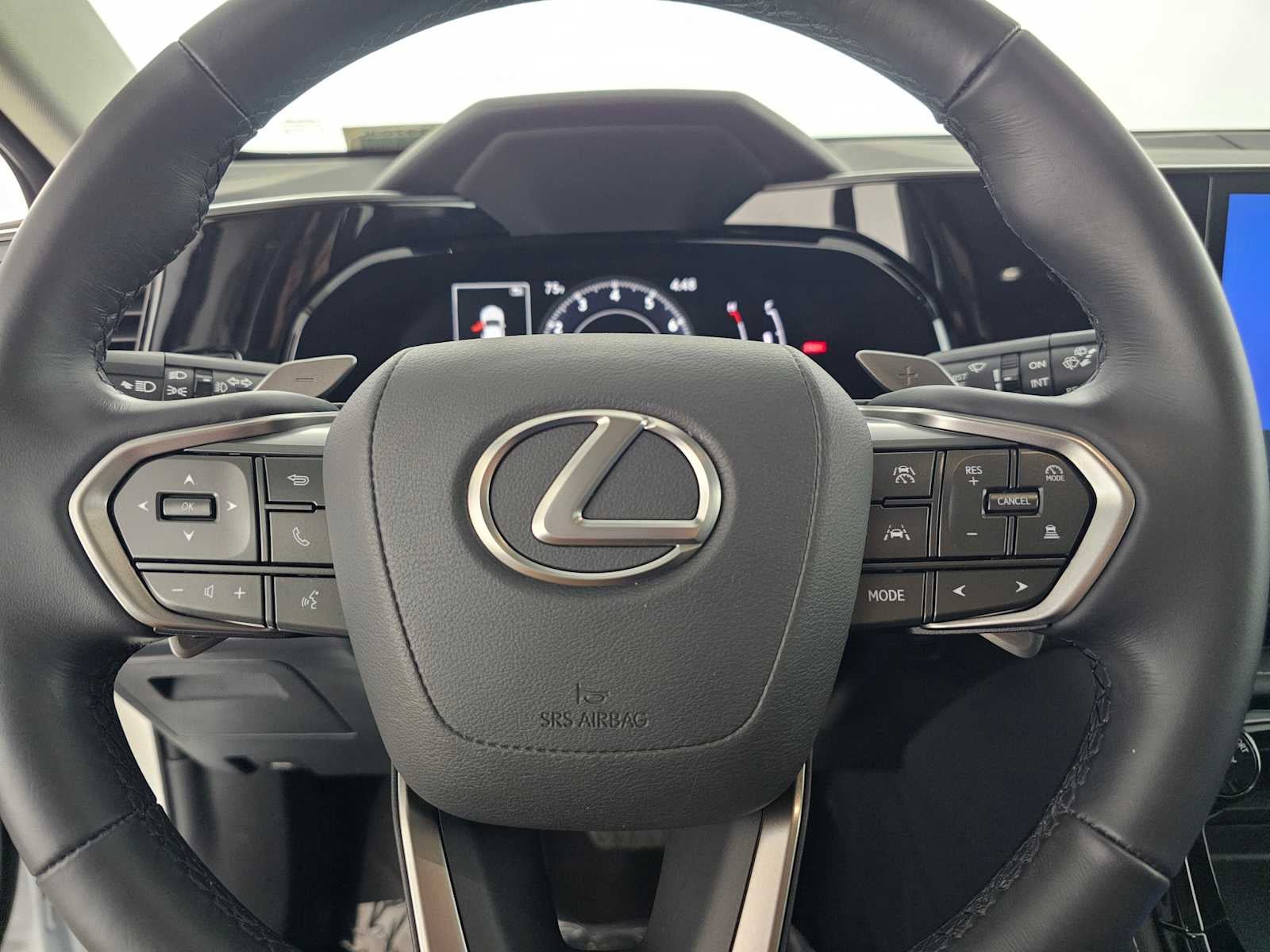 2025 Lexus NX NX 250