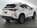 2025 Lexus NX NX 250