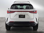 2025 Lexus NX NX 250