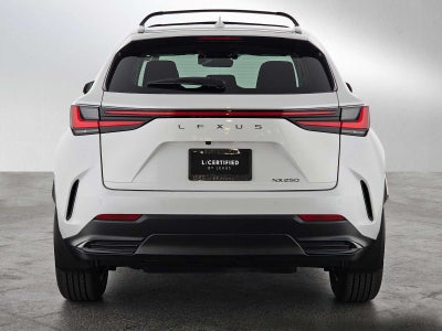 2025 Lexus NX NX 250