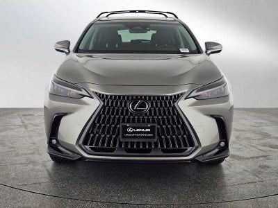 2025 Lexus NX 250 NX 250