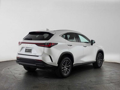 2024 Lexus NX 350 NX 350