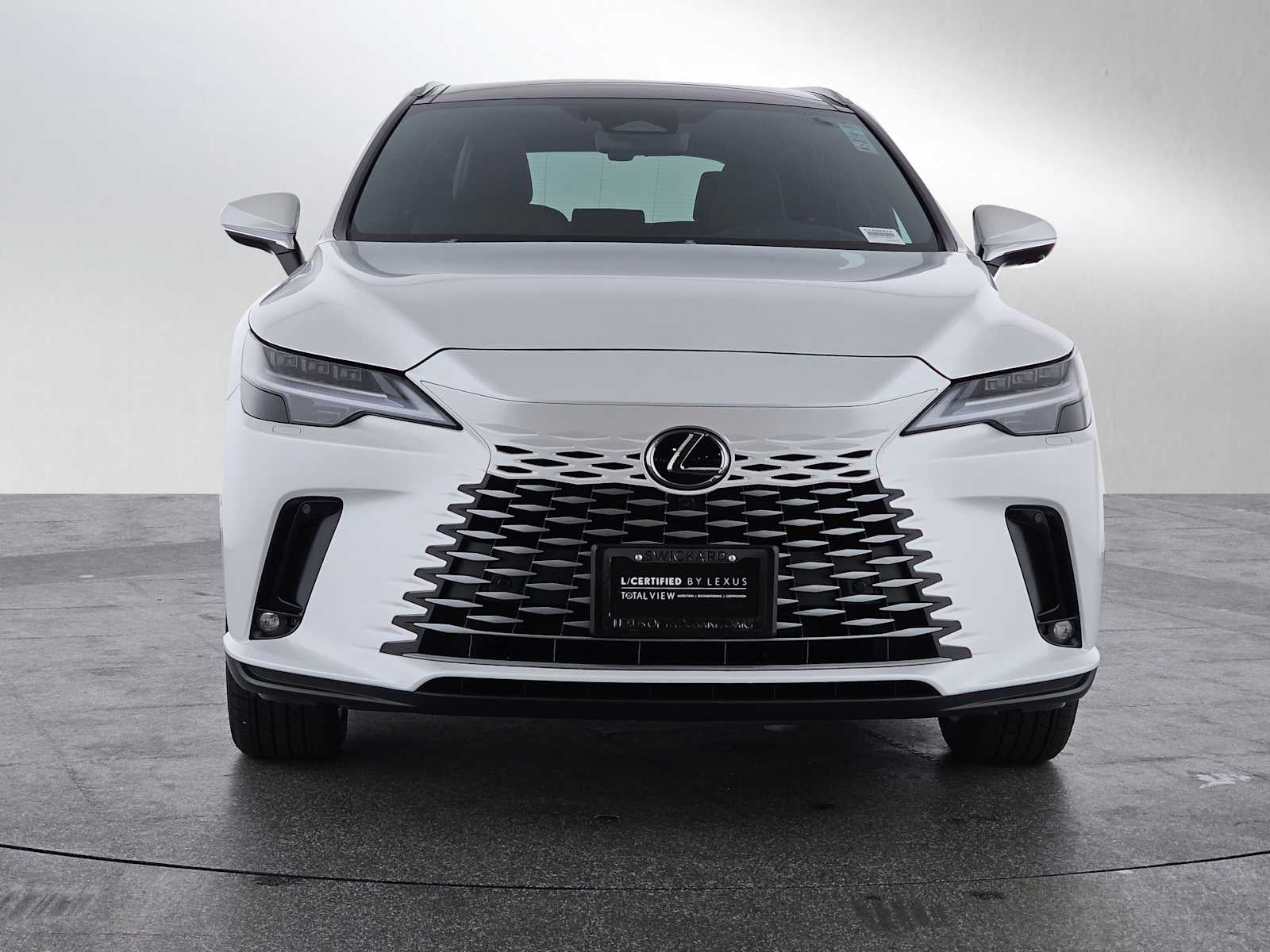 2025 Lexus RX Luxury