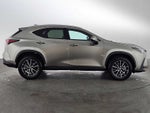 2024 Lexus NX 250 Premium
