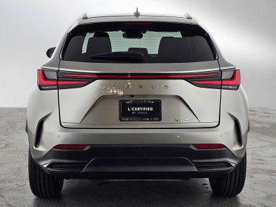 2024 Lexus NX 250 Premium