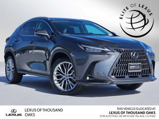 2024 Lexus NX 350 Luxury