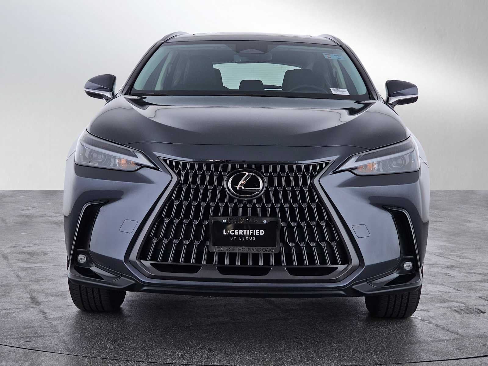 2024 Lexus NX 250 NX 250