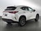 2025 Lexus NX Premium