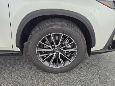2025 Lexus NX Premium
