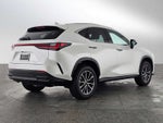 2025 Lexus NX Premium