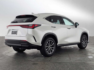 2025 Lexus NX Premium