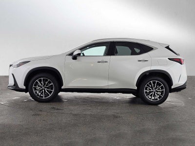2025 Lexus NX Premium