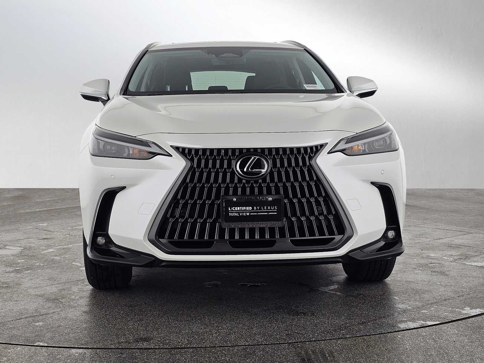 2025 Lexus NX Premium