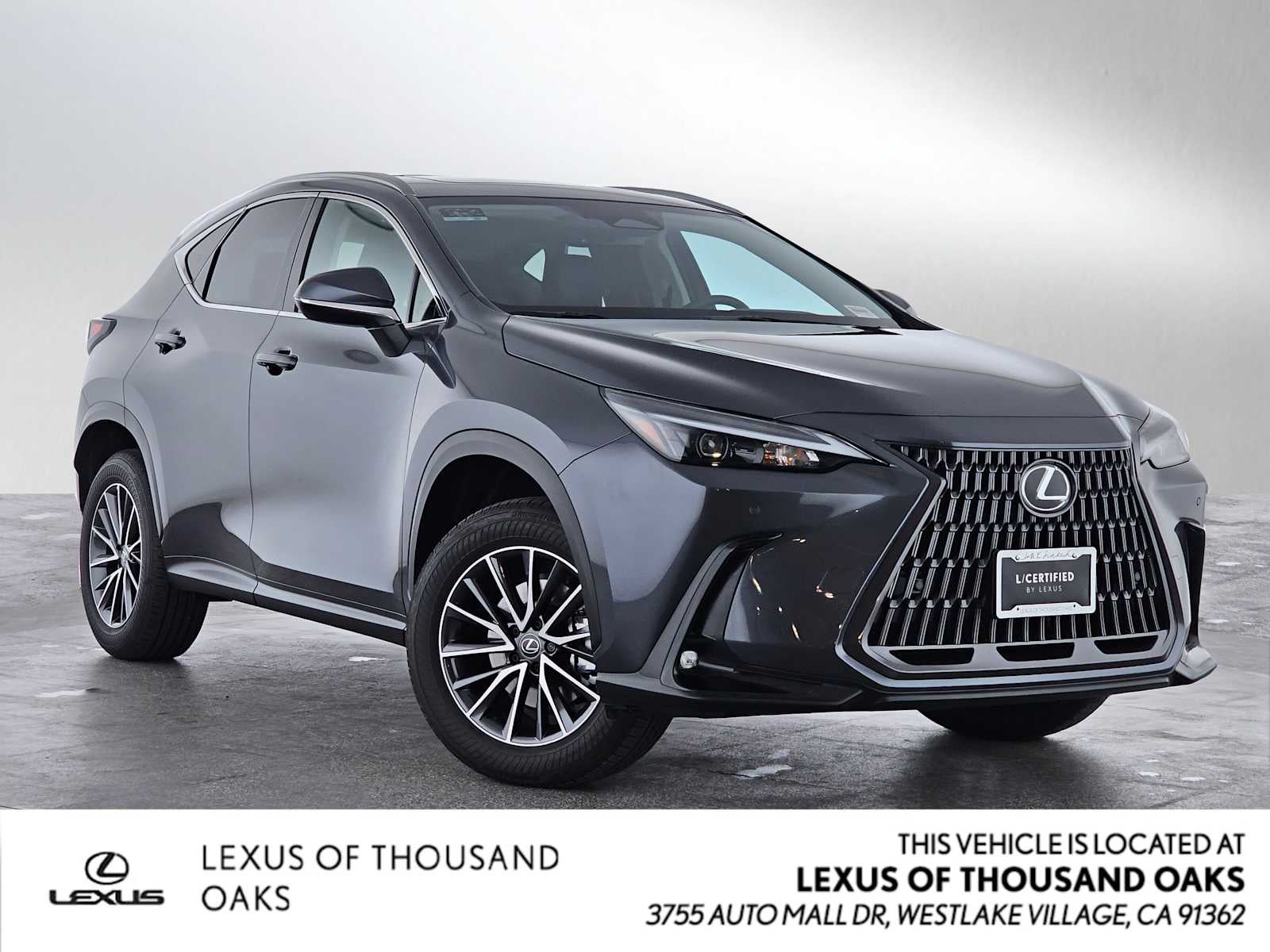 2025 Lexus NX Premium