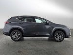 2025 Lexus NX Premium
