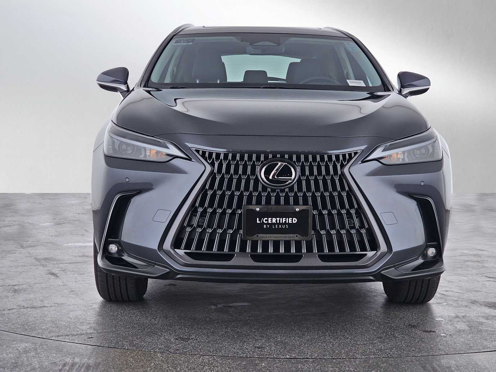 2025 Lexus NX Premium