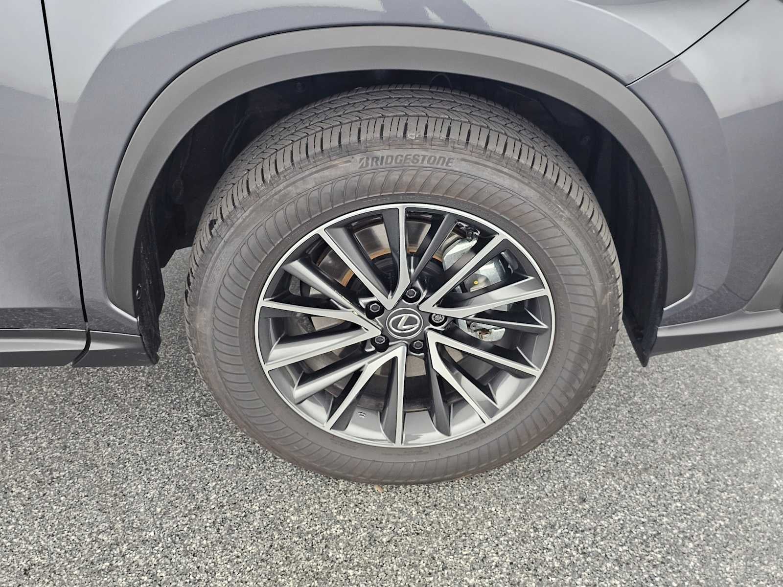 2025 Lexus NX Premium