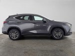 2024 Lexus NX 350h Premium