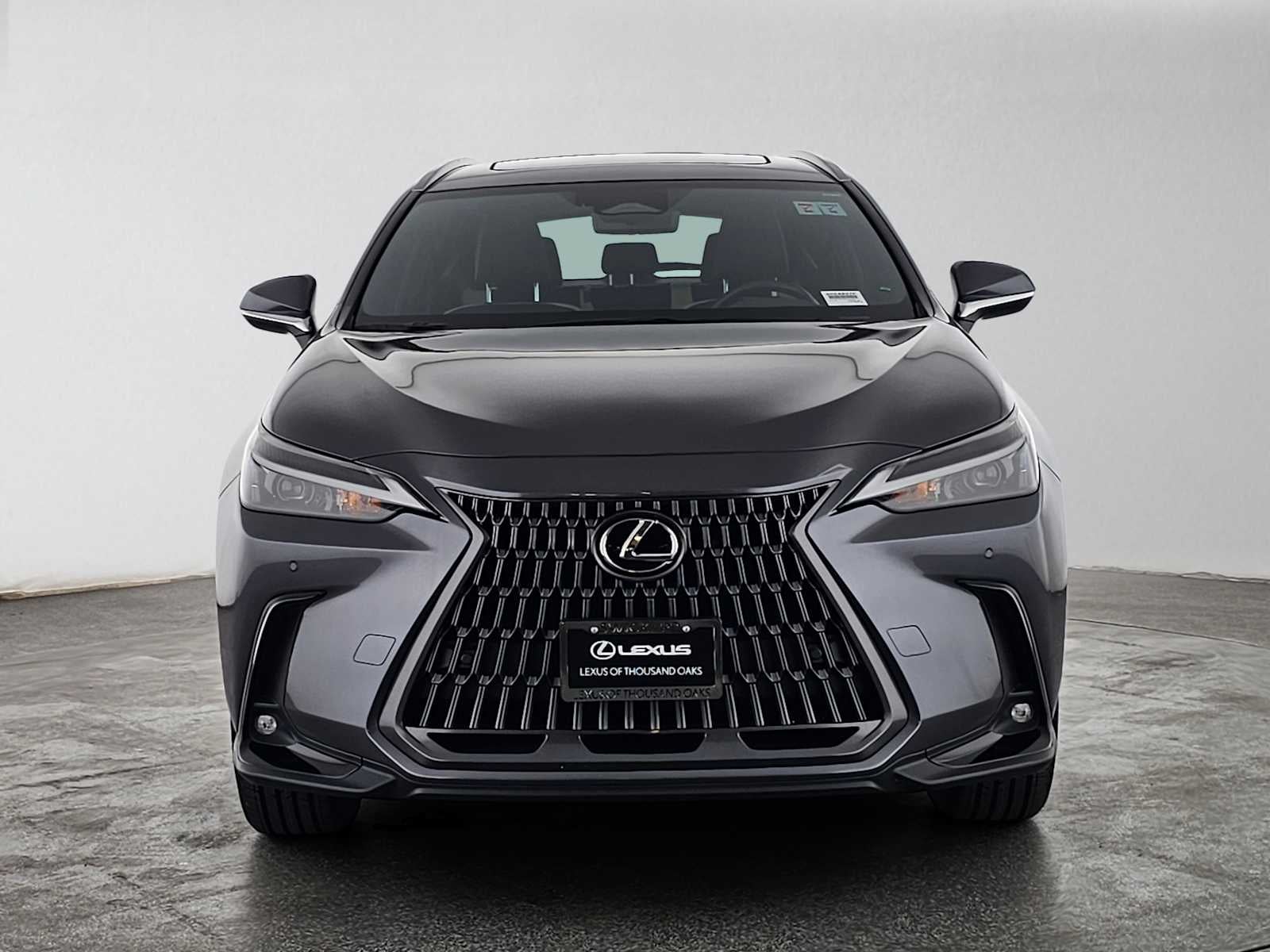 2024 Lexus NX 350h Premium