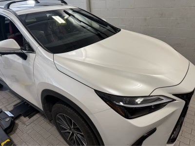 2025 Lexus NX 350h Premium