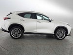 2025 Lexus NX Luxury