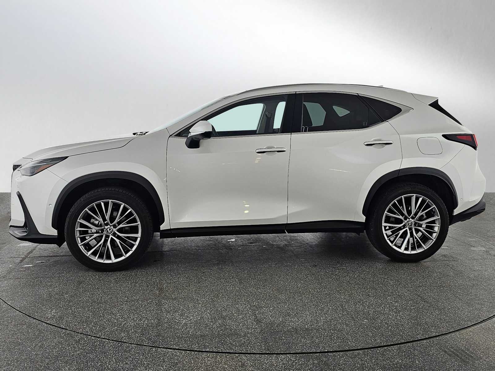 2025 Lexus NX Luxury
