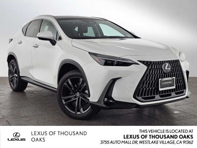 2026 Lexus NX Luxury